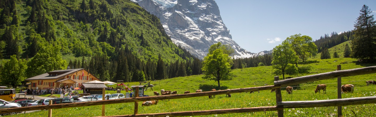 Chalet-Hotel Schwarzwaldalp